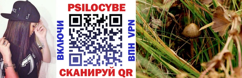 Псилоцибиновые грибы Cubensis Карпинск